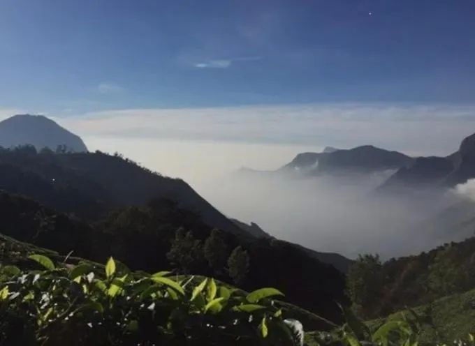 Munnar Green Portico Cottage 0*,
