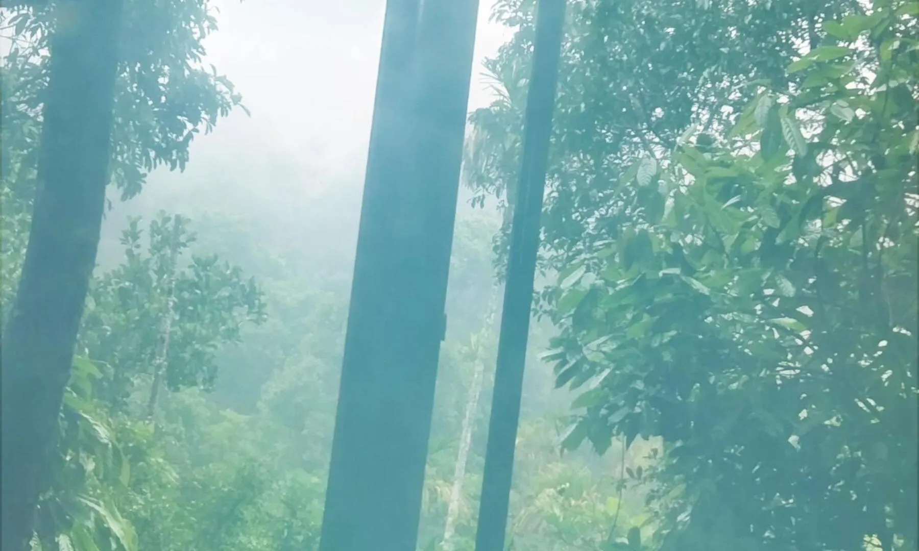 Munnar Green Portico Cottage